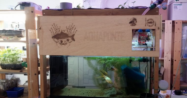 Aquaponie habillée au laser