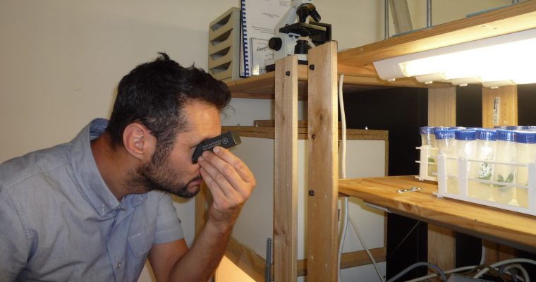 Mini-spectroscope